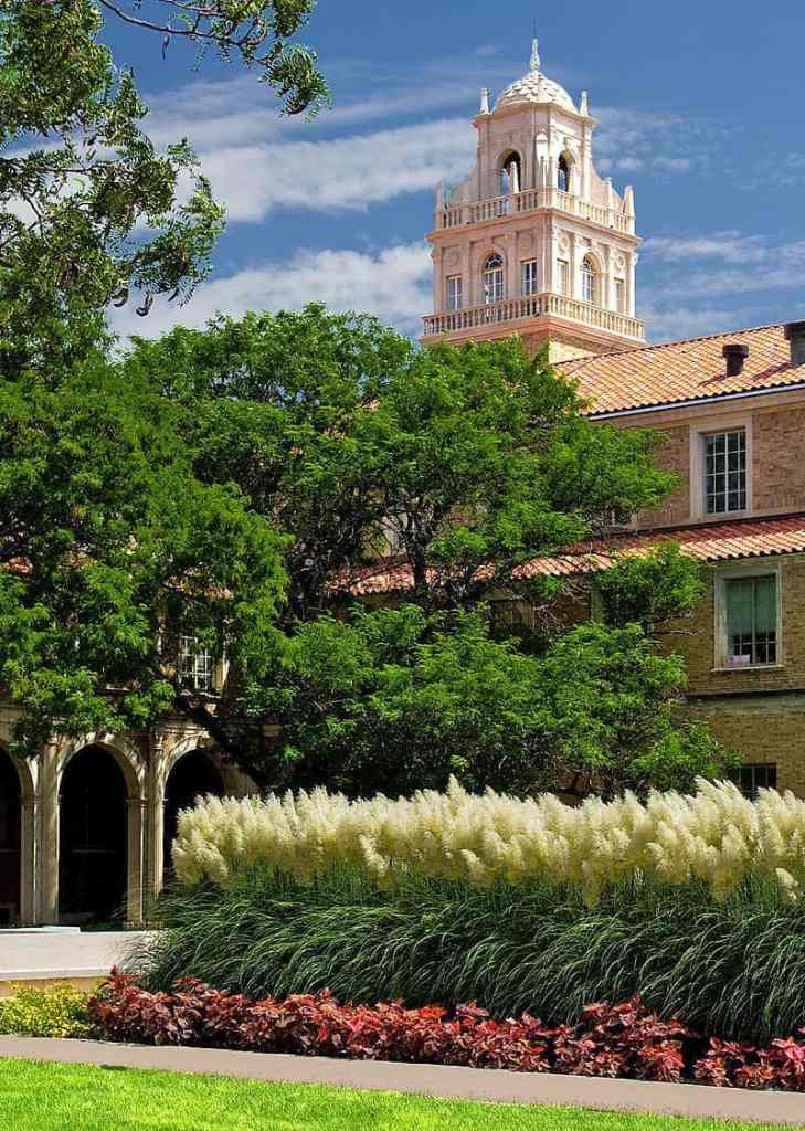 Jones AT&T Stadium: Texas Tech Football Gameday Tips and More! 8 The Best Things to Do In Lubbock on a Texas Tech Football Weekend Photo Credit Johan Hendrikse Wikipedia
