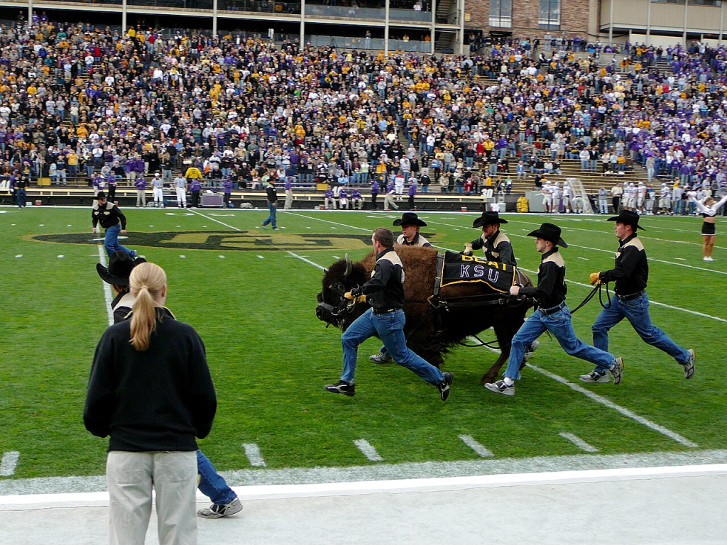 Folsom Field Gameday Tips and Hacks

Photo Credit Wikipedia