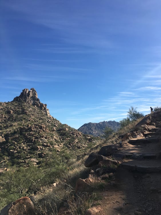 The Ultimate Travel Guide To State Farm Stadium (and the 2024 Final Four) Photo Credit: Me