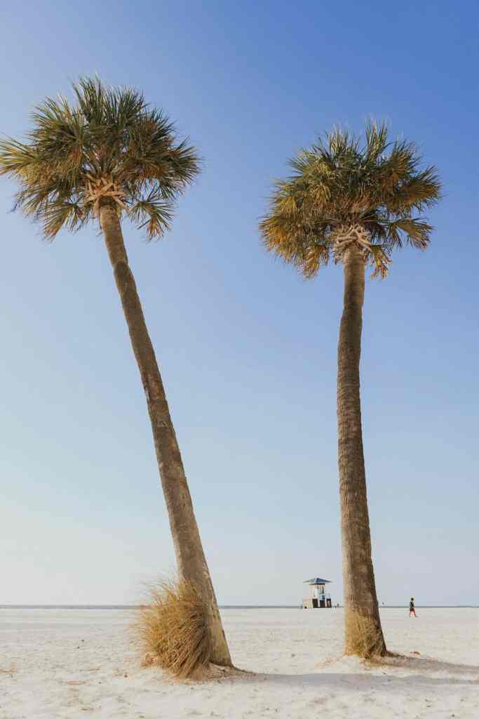Raymond James Stadium: Tampa Bay Buccaneers Gameday Guide Photo Credit: Brandon Cormier Unslash